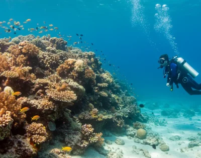 5 Fun Activities For Holidays